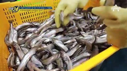 동물들의 먹이는 내가 책임진다! 아쿠아리움 조리실의 풍경은?