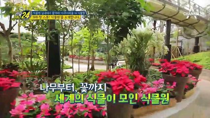 좋아요♥를 부르는 SNS 핫스폿, 서울식물원!