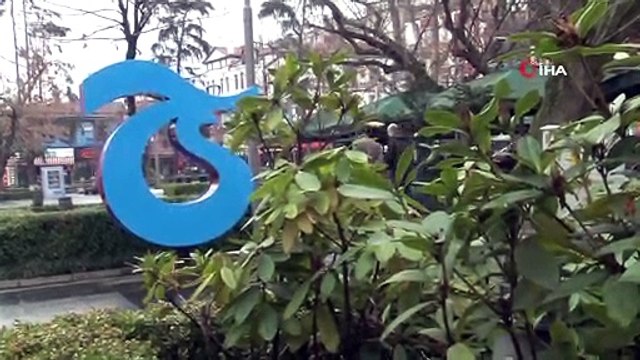 Trabzonsporlu taraftarlar, Galatasaray maçının skorunu tahmin etmekte zorlandı