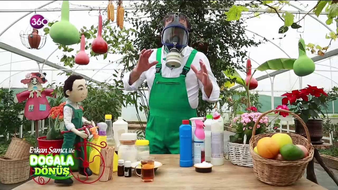 Doğala Dönüş