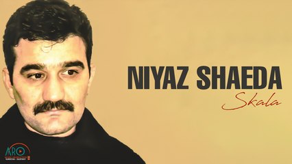 Niyaz Shaeda(نیاز شەیدا) - Salyeh(سالیەه)