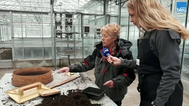 Le jardin de France Bleu Belfort Montbéliard : faire un semis