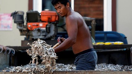 Thailand sagt illegalem Fischfang den Kampf an