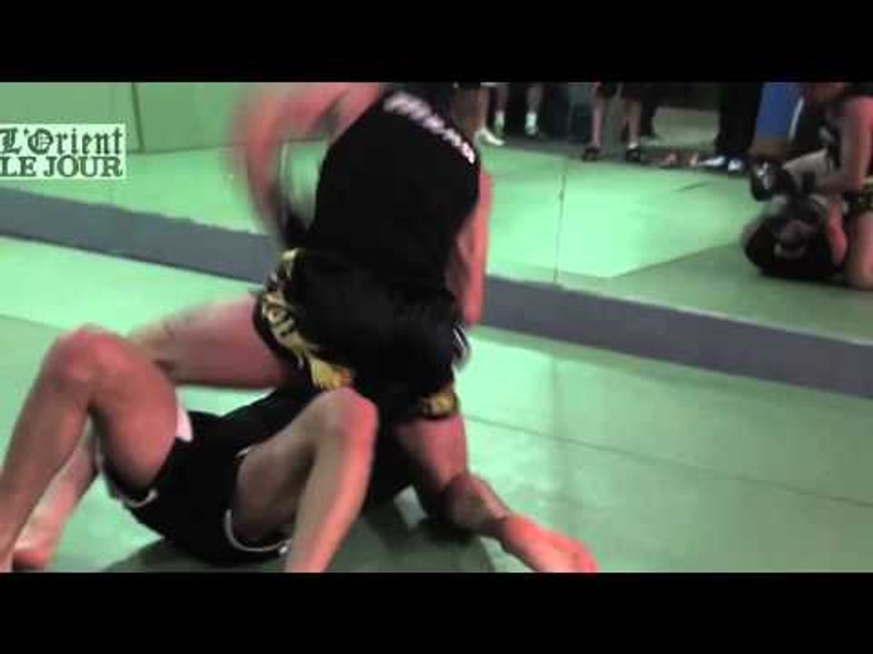A la rencontre de trois "free fighters" libanais - OLJ