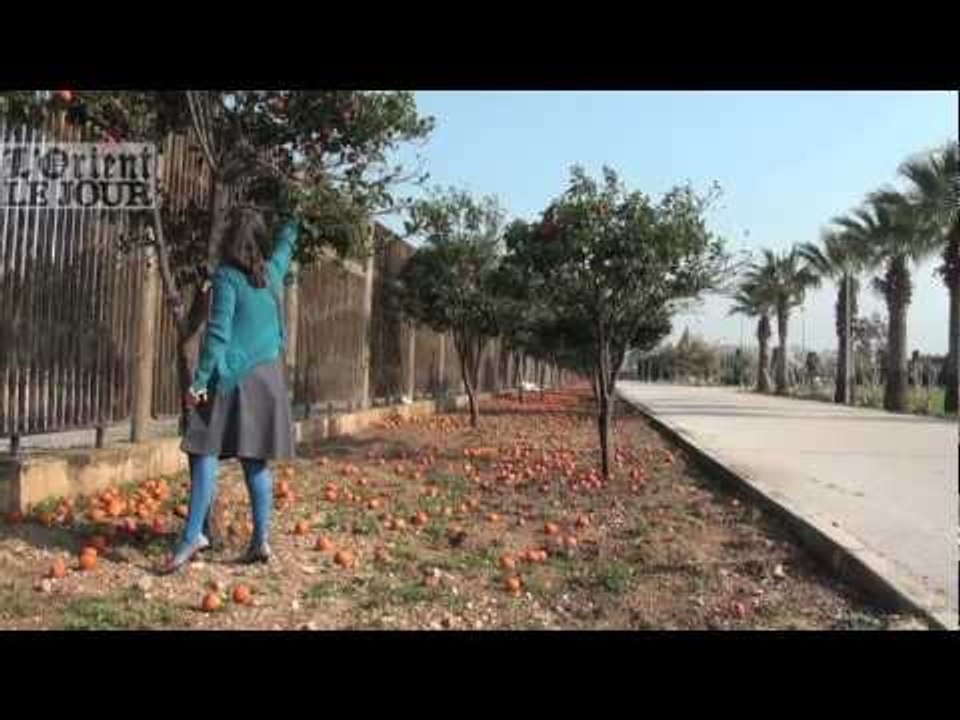 La Foire internationale de Tripoli, un espace fantôme, un poumon dans la ville 1/2 - OLJ