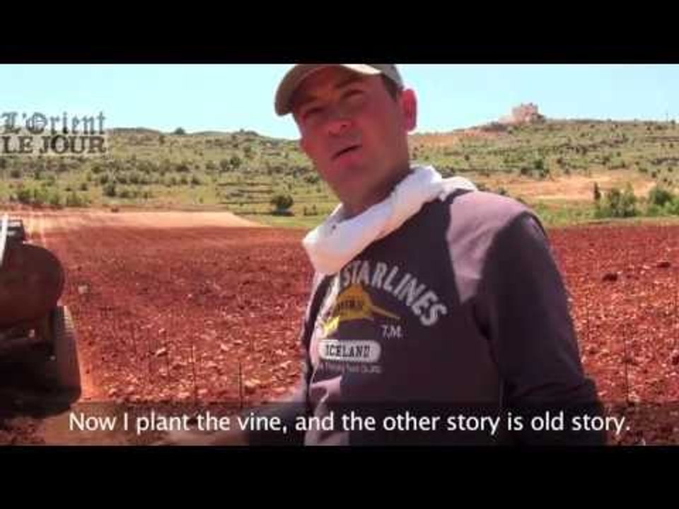 In the Beqaa Valley, a cooperative "transforms" cannabis into wine - L'Orient-Le Jour