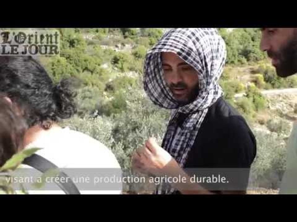 Liban : un atelier de permaculture sur les hauteurs de Saïda - OLJ