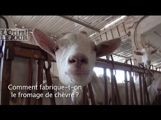 Comment fabrique-t-on le fromage de chèvre ?
