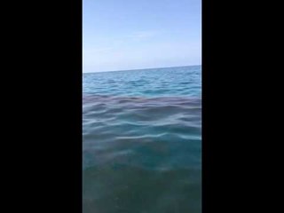 Au large de la centrale de Jiyeh, des nappes de mazout (vidéo envoyée par un pêcheur)