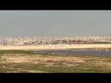 Les oiseaux près des pistes de l'aéroport de Beyrouth.
