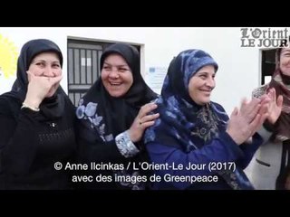 Quand le soleil donne de l'énergie à une coopérative de femmes du Liban Sud - L'Orient-Le Jour