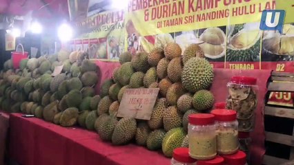 Musang King vs J-Queen, siapa #1?