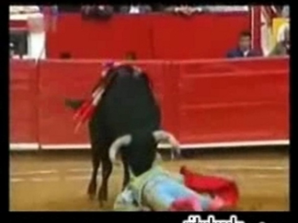 Bull Fight Bloopers
