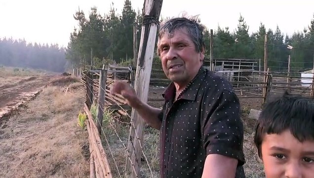 Chile intensifica combate a incendios forestales