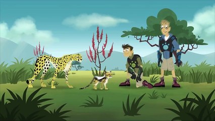 Wild Kratts - Best  1 Moments! (Part 2) - Kids Videos