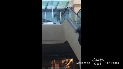 Une fille veut monter un escalator par l'extérieur mais elle l'a vite regretté.