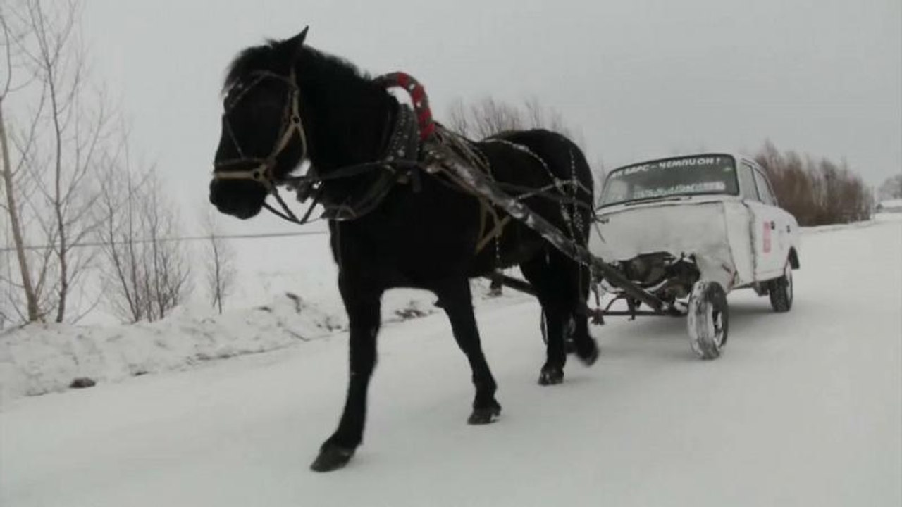 Russo inventa "carro a cavalo"