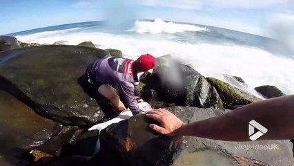 Des touristes sauvent un énorme poisson échoué dans les rochers !