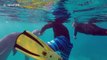 Friendly dolphin plays fetch with diver off Caribbean island