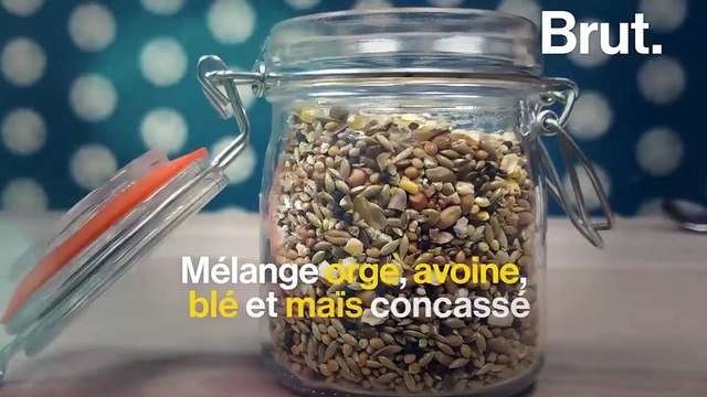 Comment fabriquer des boules de graisse pour nourrir les oiseaux ?