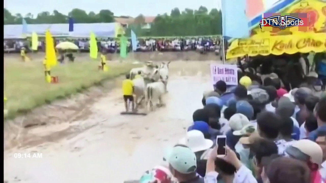 LỄ SEN ĐÔN TA , ĐUA BÒ BẢY NÚI AN GIANG  PHẦN  3