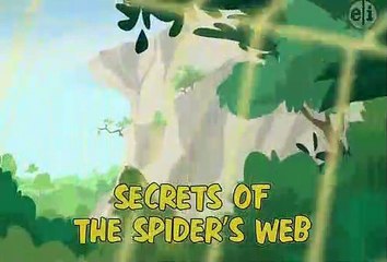 Wild Kratts - Secrets of the Spider's Web