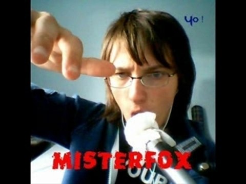 Misterfox - Pitoyables Boulets