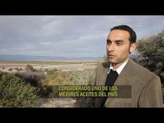 Varieté (24/11/2012) Los olivares de Aimogasta