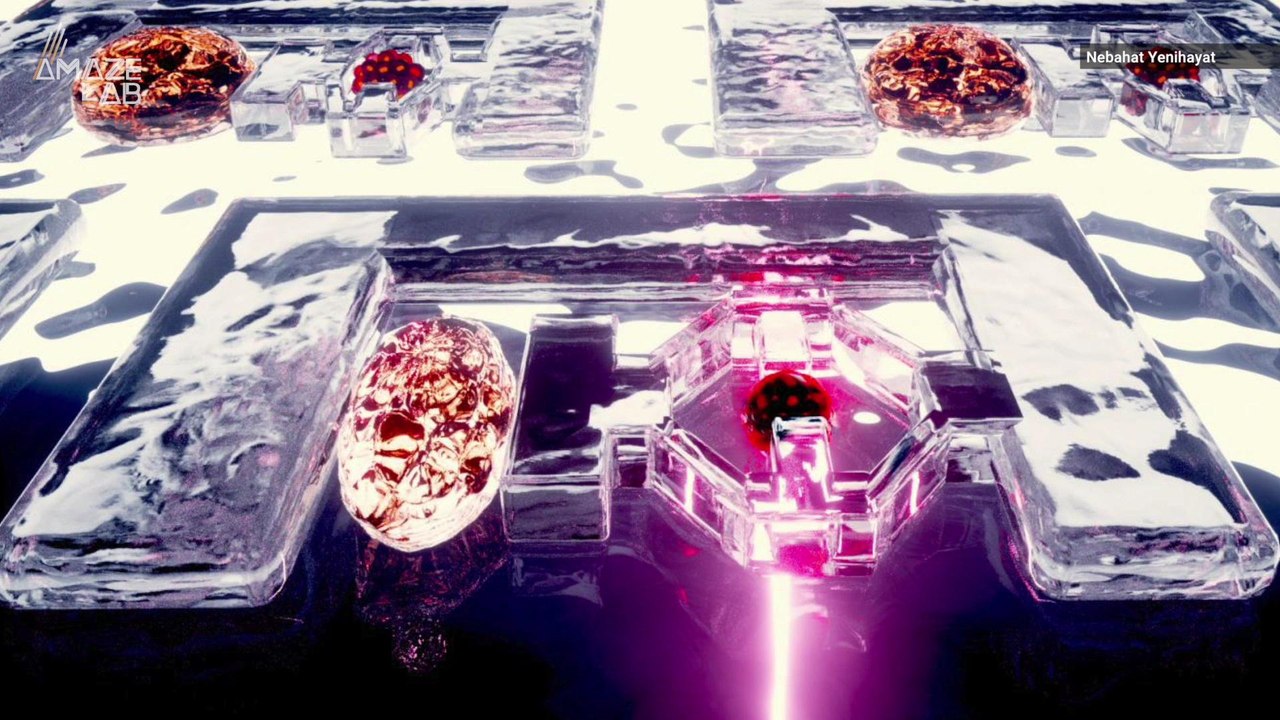 These Tiny Gummy-Like Robots May Help Prevent Disease