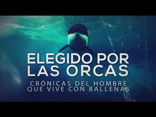 Especiales TN Elegido por las Orcas - Bloque 1