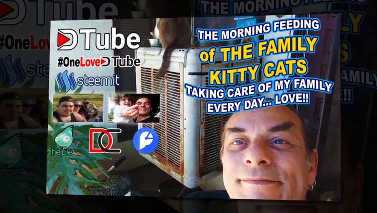 Feeding the Kitty Cats their Breakfast - Took a Walk to the Store to Get Them some Food - My Day Always Starts Out Beautiful