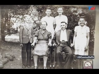 Campo Viera: La capital del té