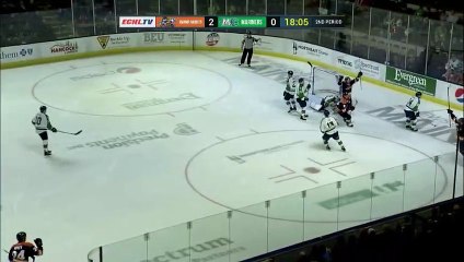 ECHL Greenville Swamp Rabbits 8 at Maine Mariners 2