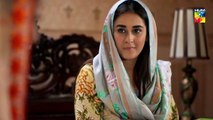 Bisaat e Dil Epi 31 HUM TV Drama 11 February 2019