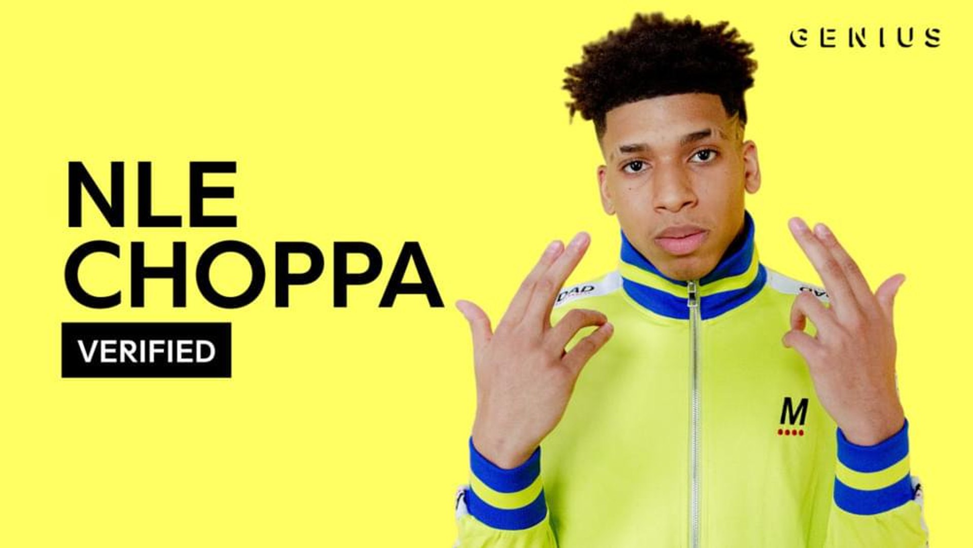 NLE Choppa "Shotta Flow" Official Lyrics & Meaning | Verified - video  Dailymotion