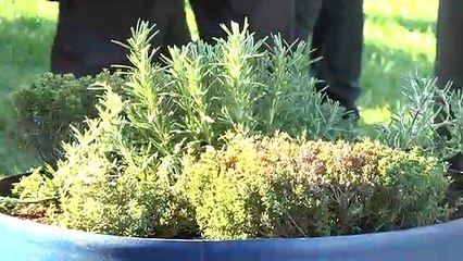 The Mandela Family Visit The Princes Park!