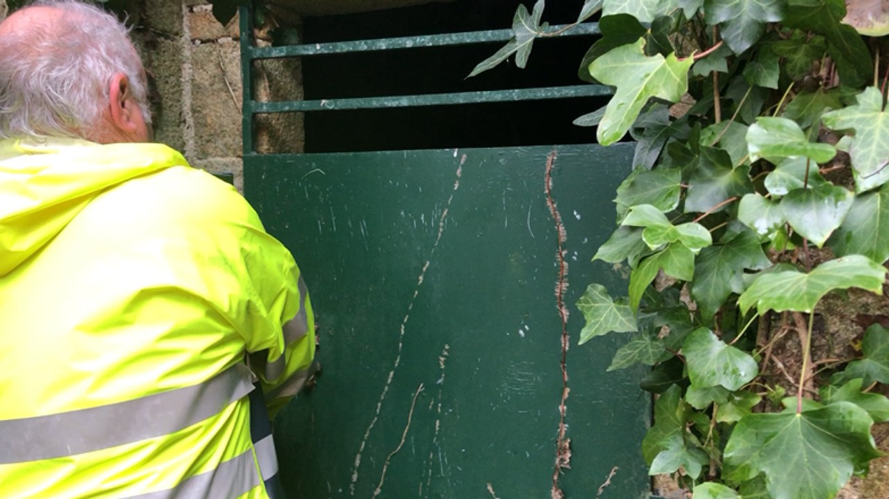 Comptage d’hiver des chauves-souris sur l’île Tristan