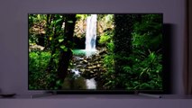Sony President talks 8K TVs and the premium features coming to 4K models — MashTalk