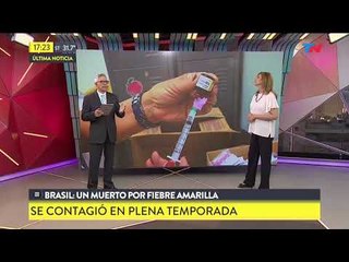 Brasil: Un muerto por fiebre amarilla