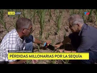 Sequías y perdidas millonarias en Bragado