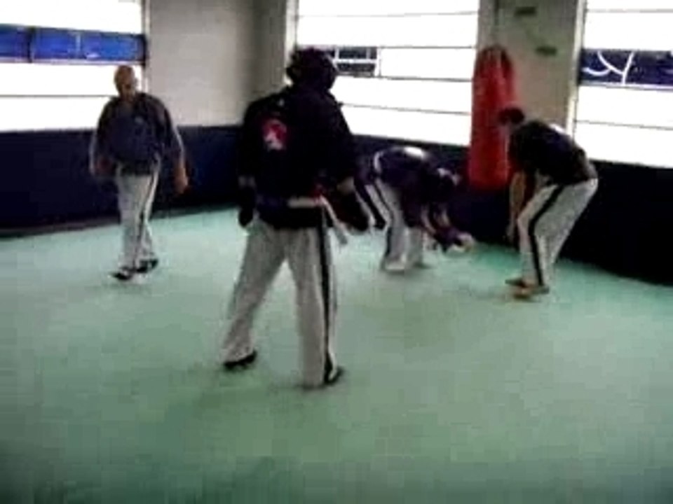 yoseikan-budo (maxou)(superbe high-kick a 1mn53)