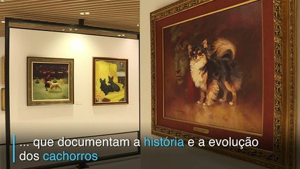 Um museu bom pra cachorro