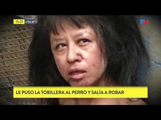 Le puso la tobillera al perro y salió a robar