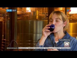 Así es una cata de aceite de oliva en San Juan