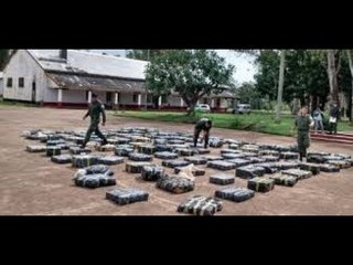 Secuestran mas de 3 toneladas de marihuana en Misiones