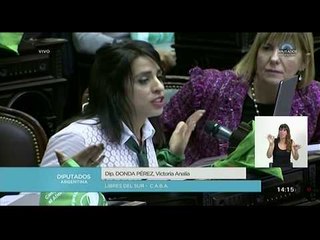 El debate por el aborto: Habló Victoria Donda