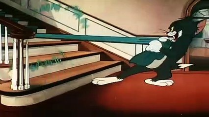 Tom and Jerry Shutter Bugged Cat, Episode 159 Part 2