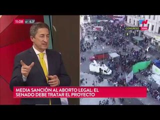 Media sanción al aborto legal: Cómo debe tratar el proyecto el Senado