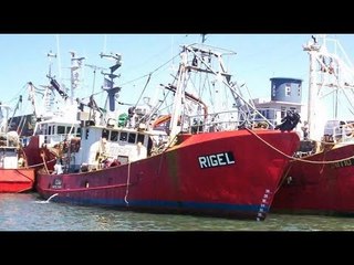 Apareció el pesquero Rigel a 93 metros de profundidad