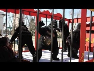 Los denunciaron por maltrato animal pero... ¡eran personas disfrazadas!